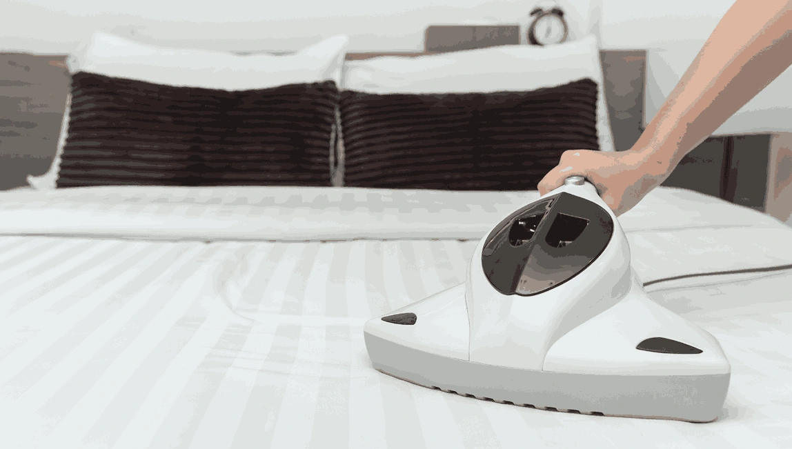 Professional Mattress Cleaning Ashwood